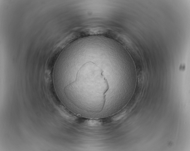 X0000091580327200709101024