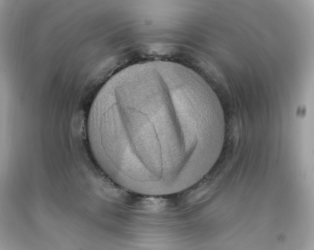 X0000091580328200709101024