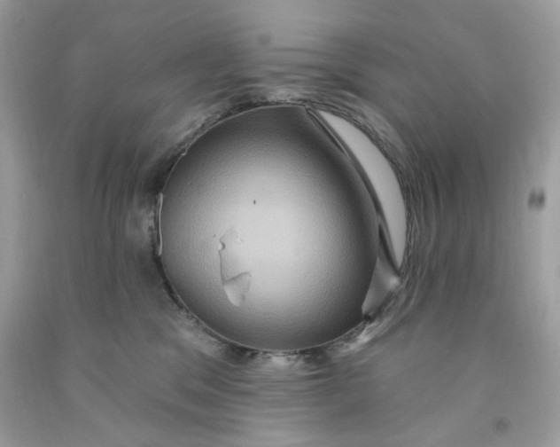 X0000091580329200709101024