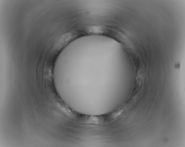 X0000091580330200709101024