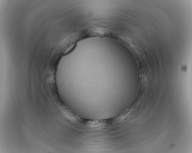 X0000091580331200709101024