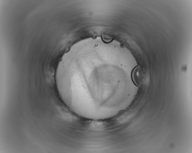 X0000091580332200709101024