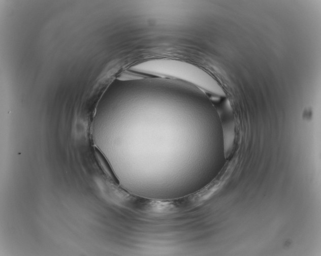 X0000091580333200709101024