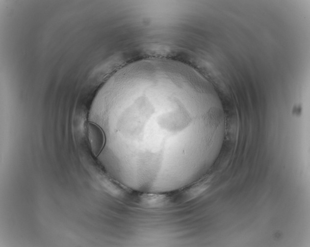 X0000091580334200709101024