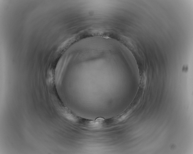 X0000091580335200709101024