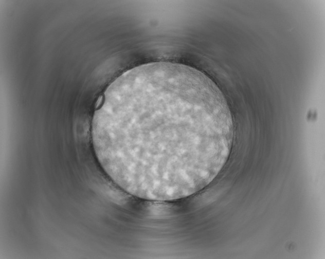 X0000091580336200709101024