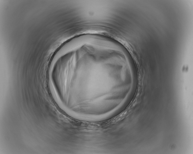 X0000091580337200709101023