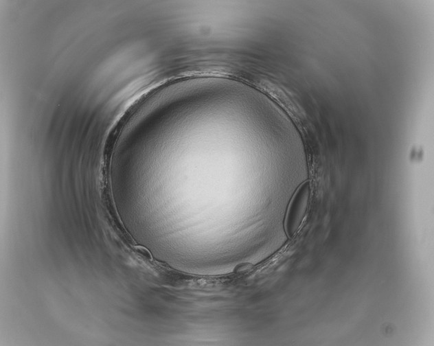 X0000091580338200709101023