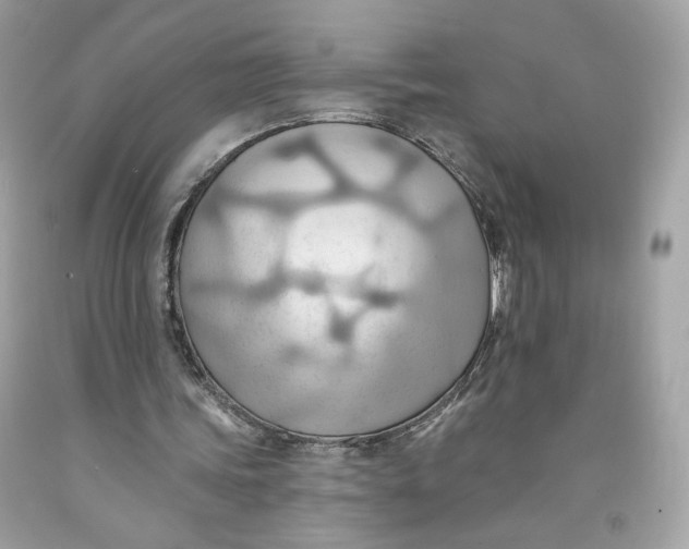 X0000091580339200709101023