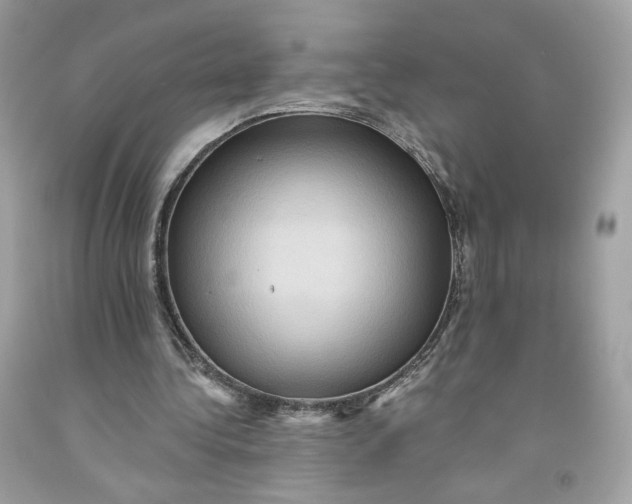 X0000091580340200709101023