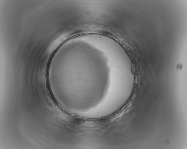 X0000091580341200709101023