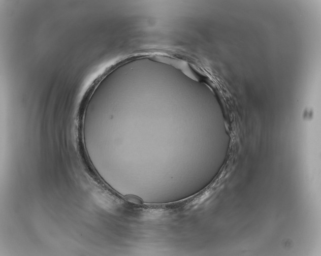 X0000091580342200709101023