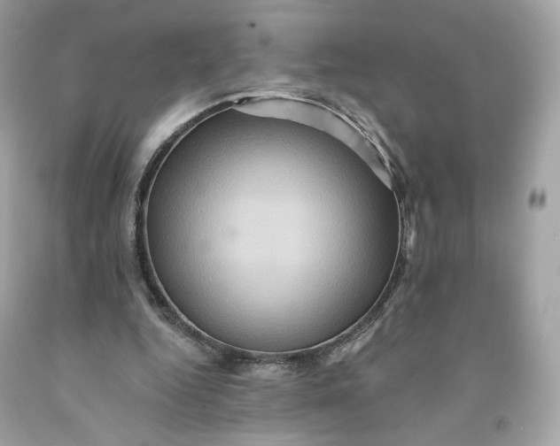 X0000091580344200709101023