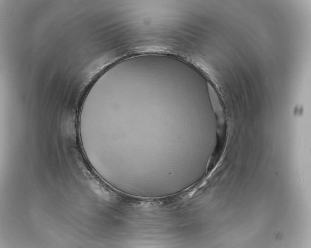 X0000091580345200709101023