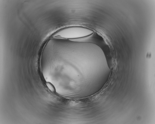 X0000091580346200709101023