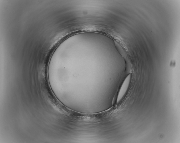 X0000091580347200709101023