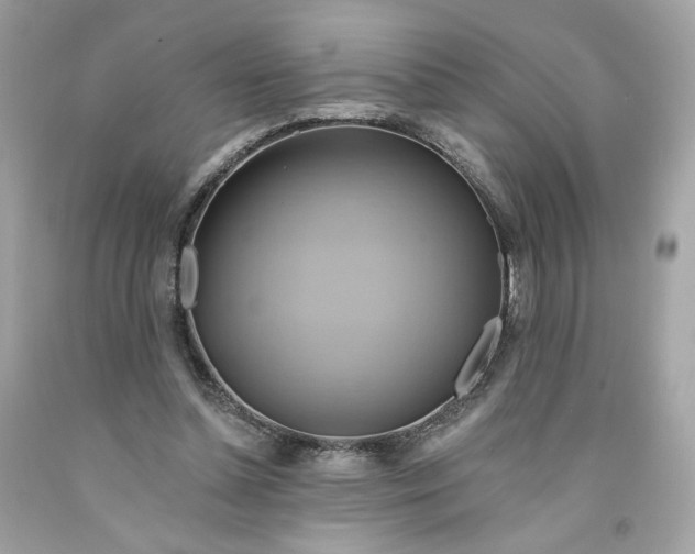 X0000091580348200709101024