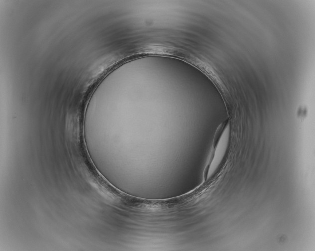 X0000091580349200709101024