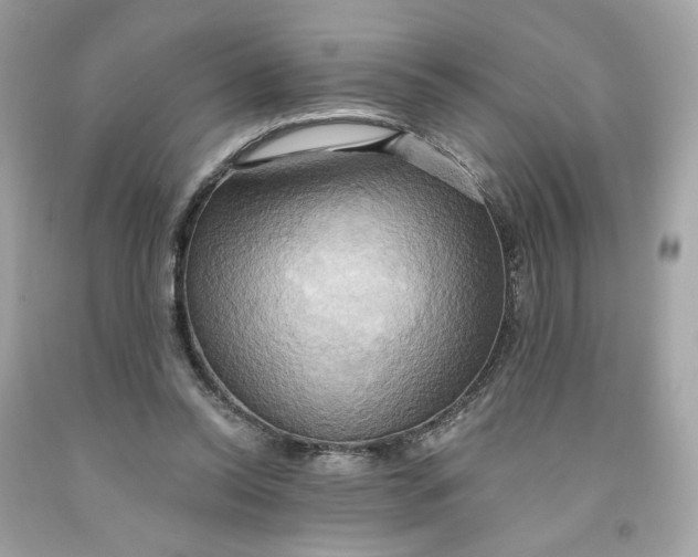 X0000091580350200709101024