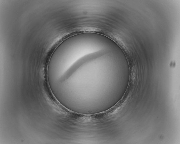 X0000091580351200709101024