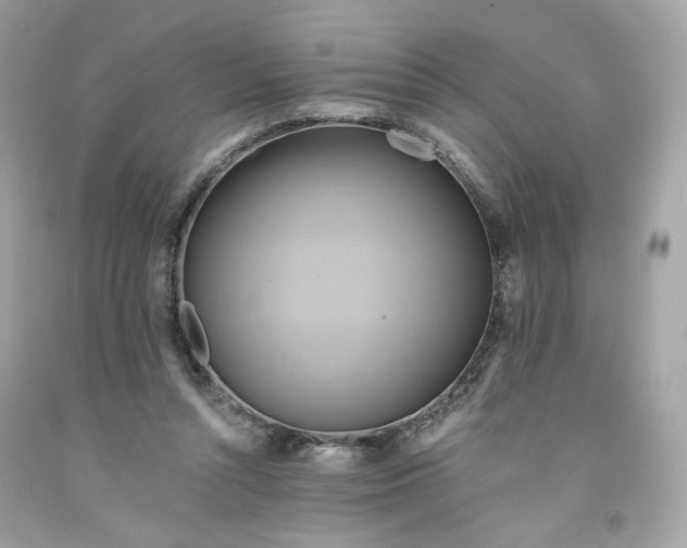 X0000091580352200709101024