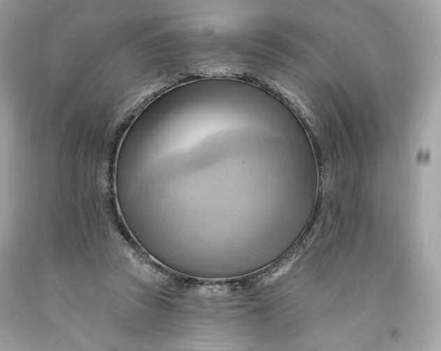 X0000091580353200709101024