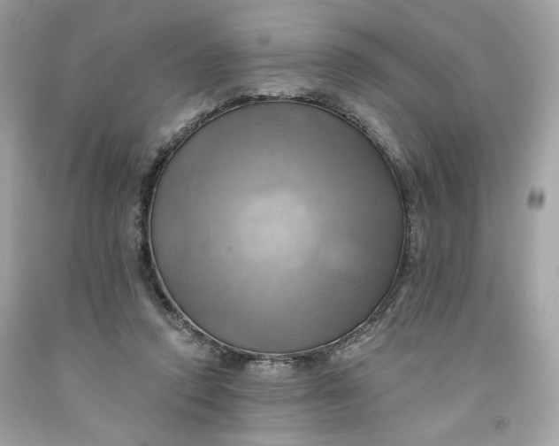 X0000091580354200709101024