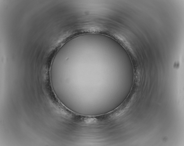 X0000091580355200709101024