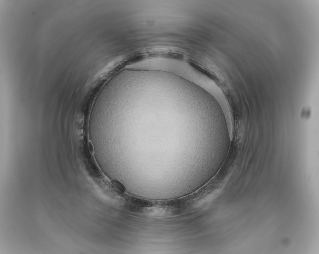 X0000091580356200709101024