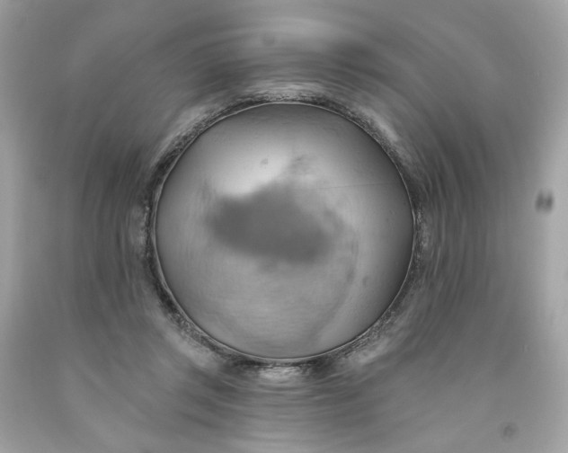 X0000091580357200709101024