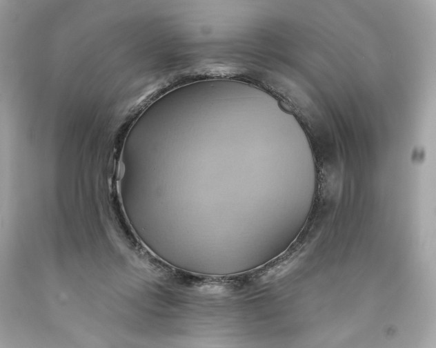 X0000091580358200709101024