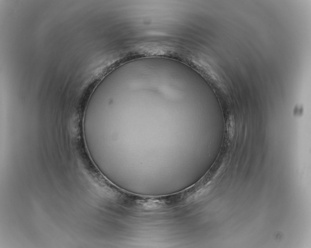 X0000091580359200709101024