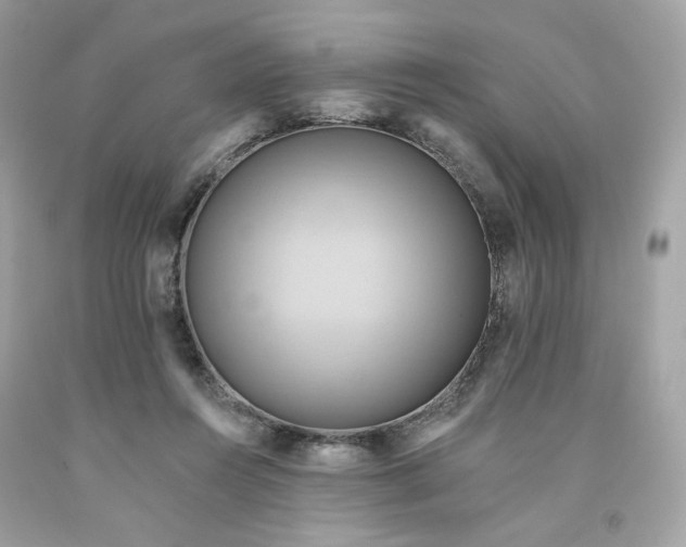 X0000091580360200709101024