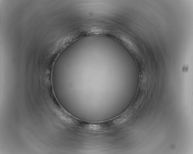 X0000091580361200709101024