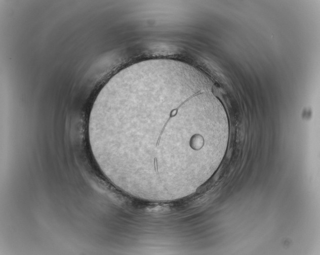 X0000091580362200709101024