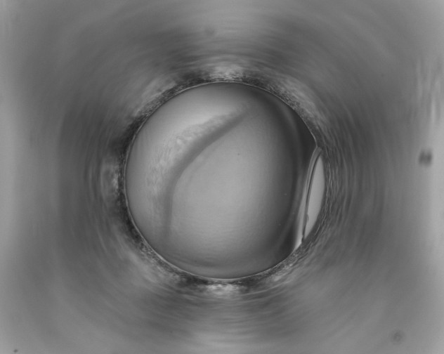 X0000091580363200709101024