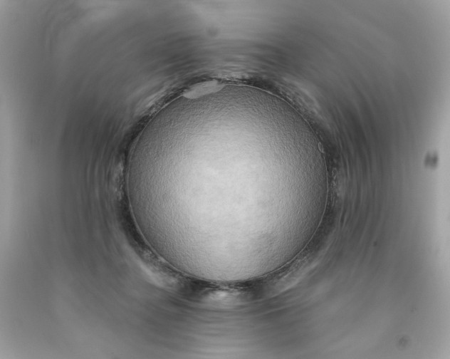 X0000091580364200709101024