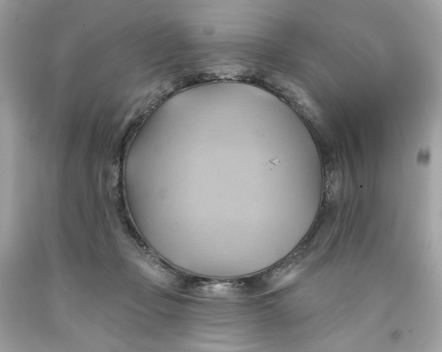 X0000091580365200709101024