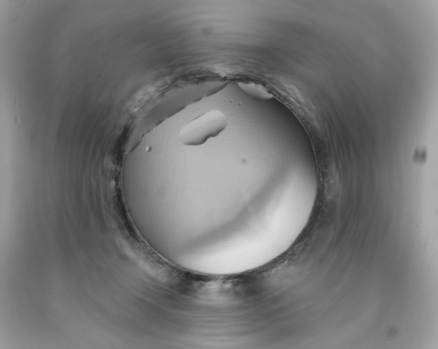 X0000091580366200709101024