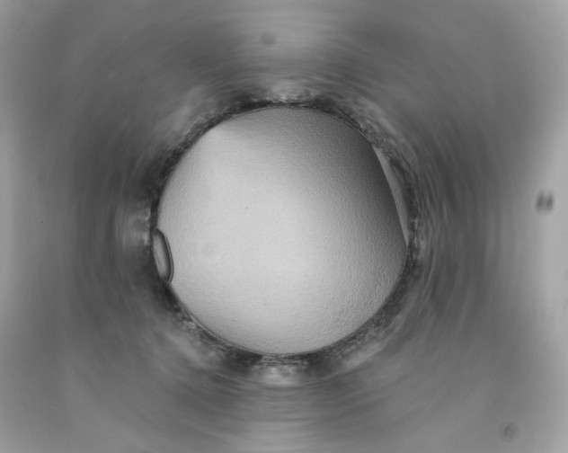 X0000091580368200709101024