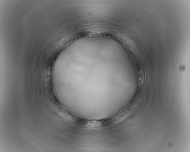 X0000091580369200709101024