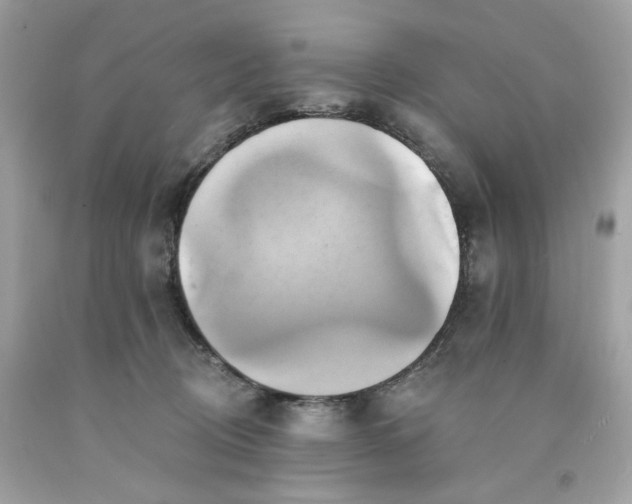 X0000091580370200709101024