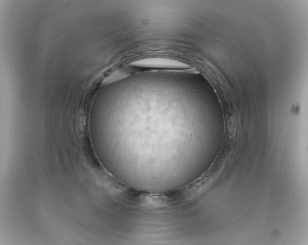 X0000091580372200709101024