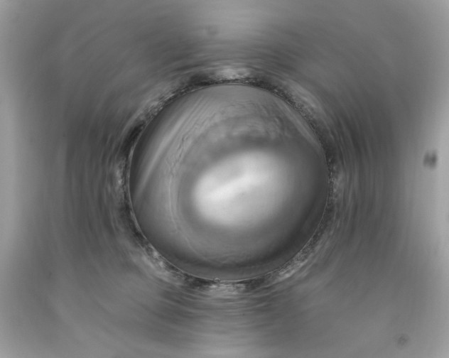 X0000091580373200709101024