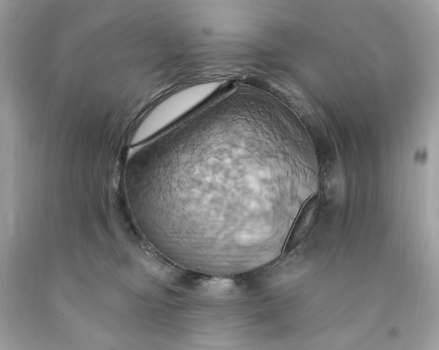 X0000091580374200709101024