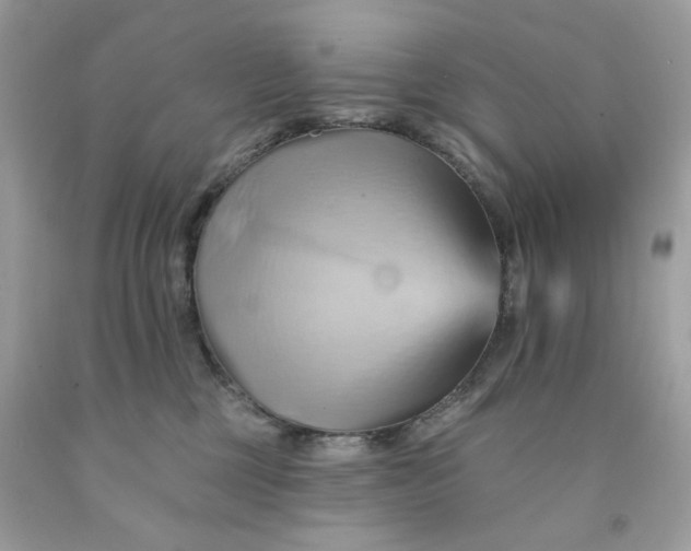 X0000091580377200709101024