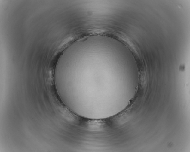 X0000091580378200709101024