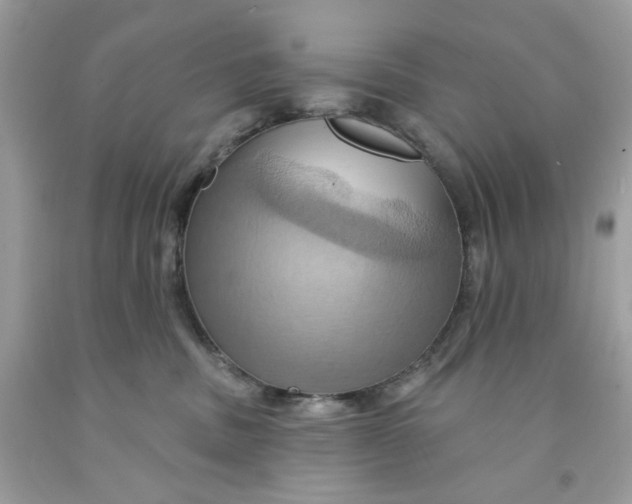 X0000091580379200709101024