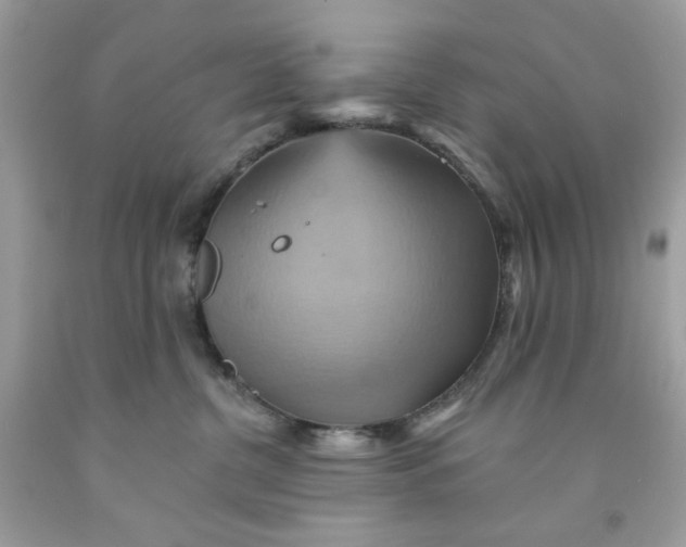 X0000091580380200709101024