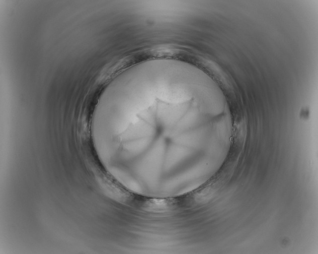 X0000091580381200709101024